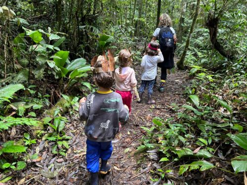 ACAMPAMENTO MATA ATLÂNTICA - 02 a 05 ANOS