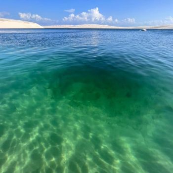 2f06fe43-325b-4b79-80cc-4726264a4278