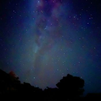 4d5b564a-fd32-4aed-a6f0-7c43d53039c8