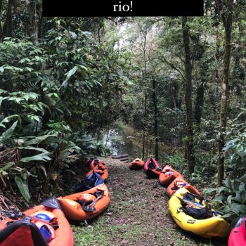 52202F9A-2AE9-4AC0-9D6E-93EB0D2A29E4