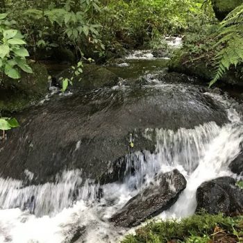 67422d5b-0cc8-4482-a87d-e4fd1269d23e