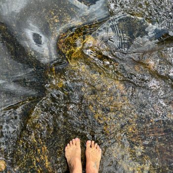 Acampamento Natureza de Criança