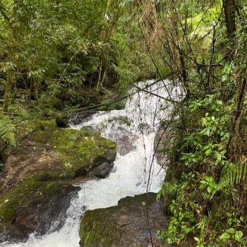 6f3341ca-a702-4d33-84bd-3e238b1962c1