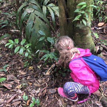 Acampamento Natureza de Criança