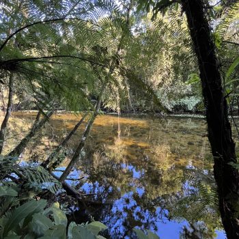Acampamento Natureza de Criança