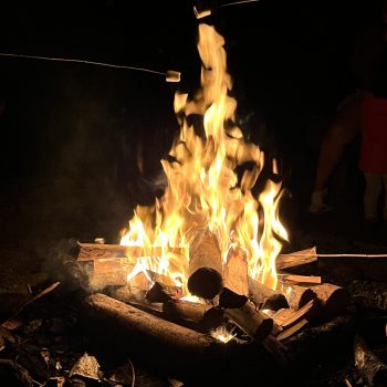 Acampamento Natureza de Criança