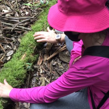 Acampamento Natureza de Criança