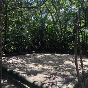 Acampamento Natureza de Criança