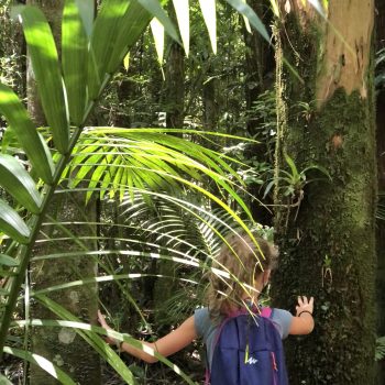 Acampamento Natureza de Criança