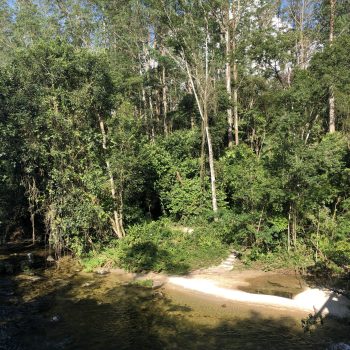 Acampamento Natureza de Criança