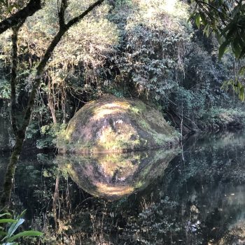 Acampamento Natureza de Criança