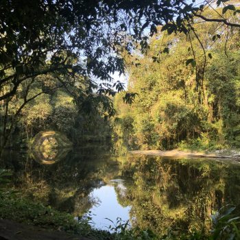 Acampamento Natureza de Criança