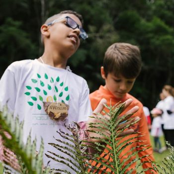 Inclusivo (1) (Copy)