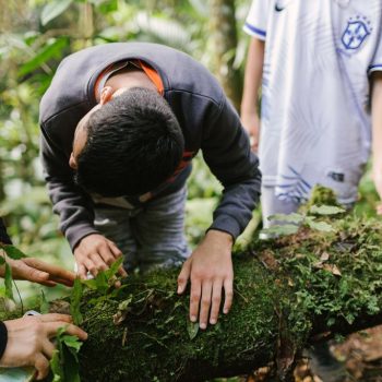 Inclusivo (10) (Copy)