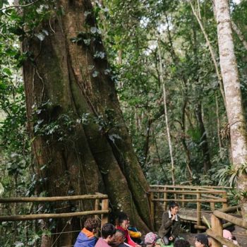 Inclusivo (12) (Copy)