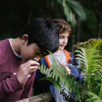 Inclusivo (13) (Copy)