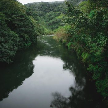 Inclusivo (17) (Copy)