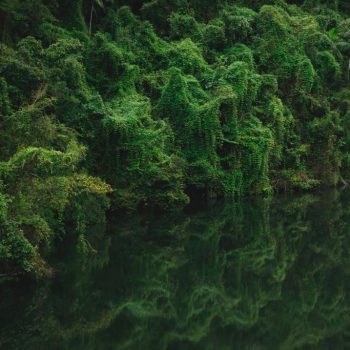 Inclusivo (18) (Copy)