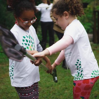 Inclusivo (27) (Copy)