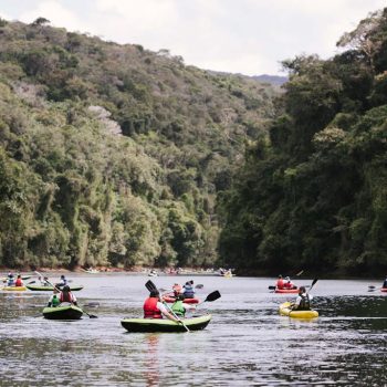 Inclusivo (4) (Copy)