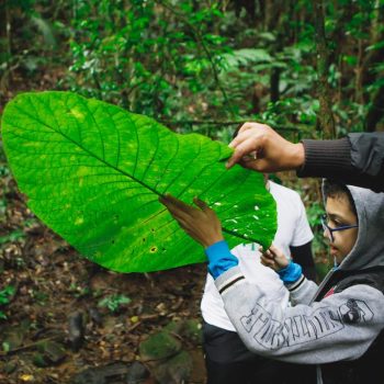 Inclusivo (40) (Copy)