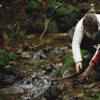 Inclusivo (41) (Copy)