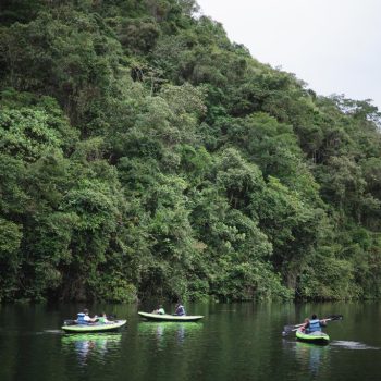 Inclusivo (45) (Copy)