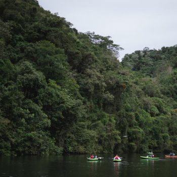 Inclusivo (48) (Copy)