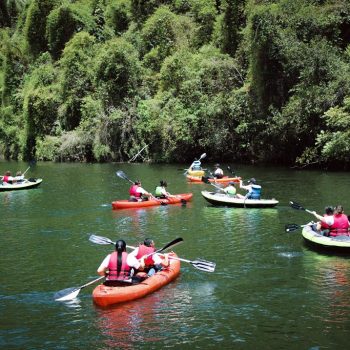 Inclusivo (51) (Copy)