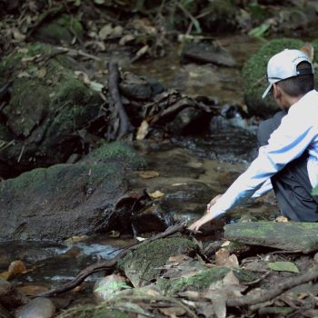 Inclusivo (54) (Copy)