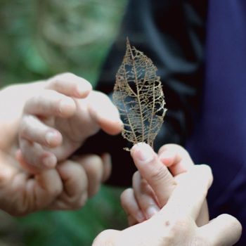 Inclusivo (57) (Copy)