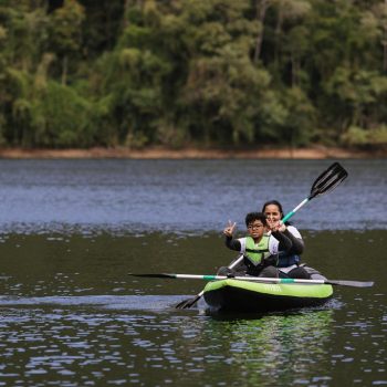 Inclusivo (60) (Copy)