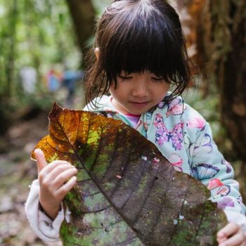 Inclusivo (61) (Copy)