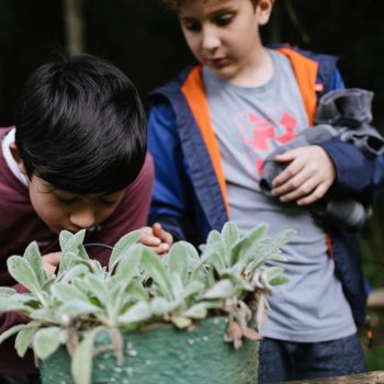 Inclusivo (62) (Copy)