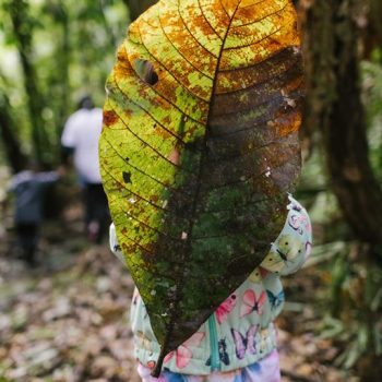 Inclusivo (9) (Copy)