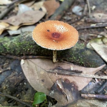 Rio Cristalino Lodge (10)