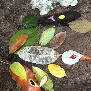 Rio Cristalino Lodge (22)