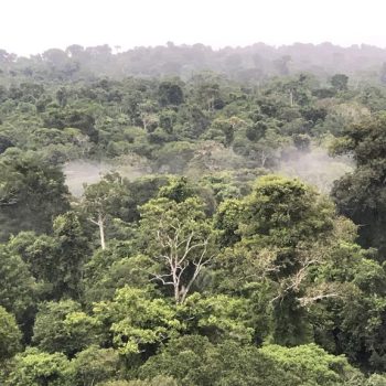 Rio Cristalino Lodge (28)