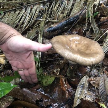 Rio Cristalino Lodge (30)