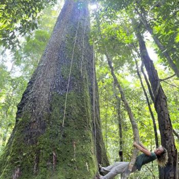 Rio Cristalino Lodge (4)