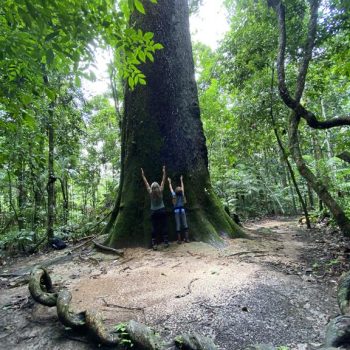 Rio Cristalino Lodge (8)