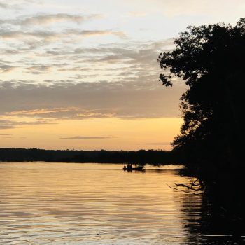 Amazônia