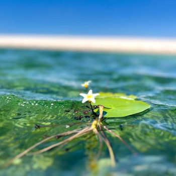 afd63080-1ff5-480e-939e-e9c6977625fe