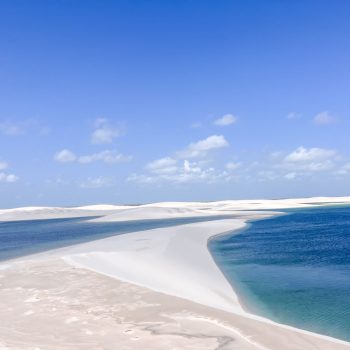 d8dc1446-d072-4641-b2b7-87b9b3de302b