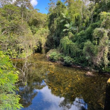 Acampamento Natureza de Criança