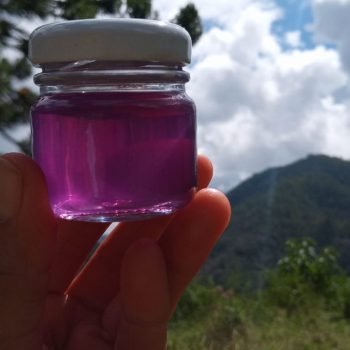 e95710c5-1c09-4aab-a496-7d2084489952