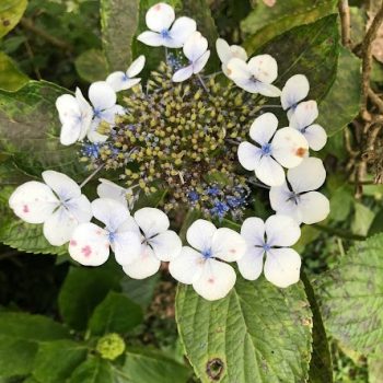 eded4c2c-fefa-4999-8623-1969ece0a335